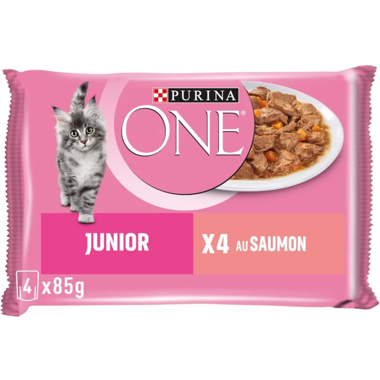 Purina ONE Pâtée pour chat Junior au saumon - 4x85g